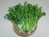 Mizuna