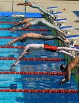 Natation