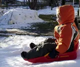 Luge