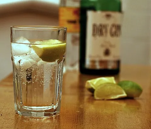 gin tonic