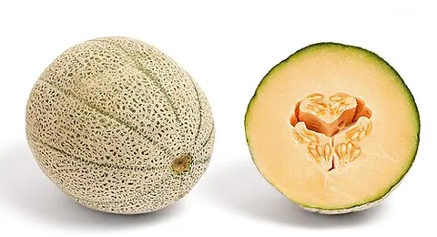 Melon