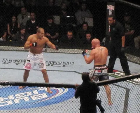 MMA (arts martiaux mixtes)
