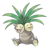 Noadkoko