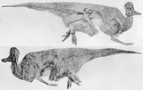 Corythosaurus