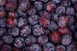 Violet prune