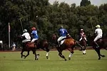 Polo équestre