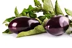 Violet aubergine