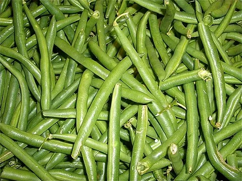Haricot vert