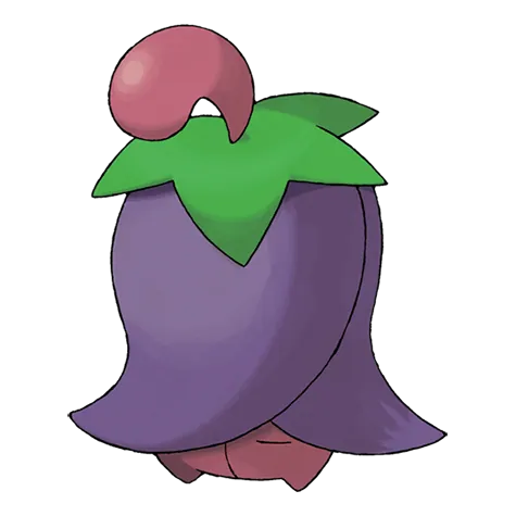 Ceriflor
