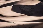 Beige sable