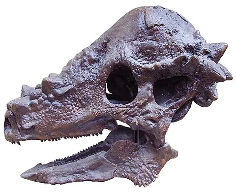 Pachycephalosaurus