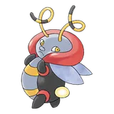 Muciole