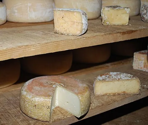 Ossau-iraty