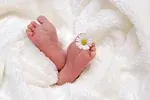 La Naissance du jour