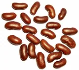 Haricot rouge