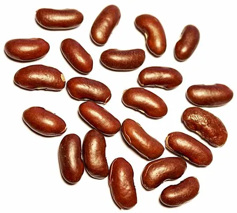 Haricot rouge