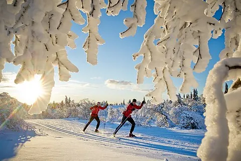 Ski de fond