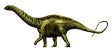 Apatosaurus