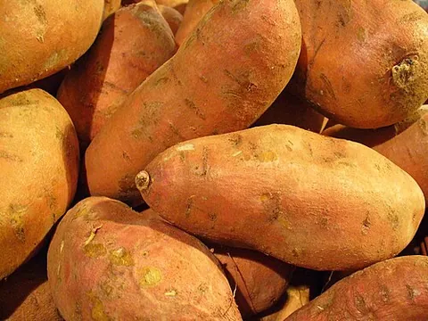 Patate douce