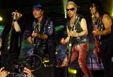Scorpions