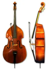 contrebasse