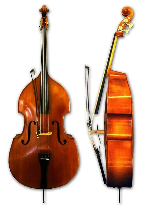 contrebasse