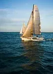 Voile