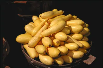 Courge
