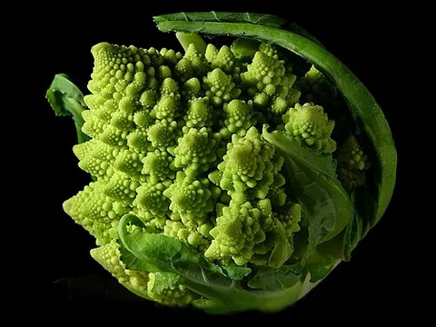Chou Romanesco