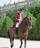 Équitation (saut d'obstacles, dressage, concours complet)