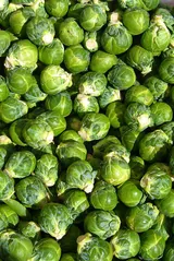 Chou de Bruxelles