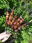Chicken Shish Kebab