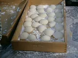 mochi