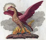 Phénix