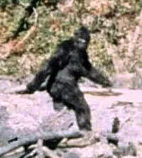 Bigfoot