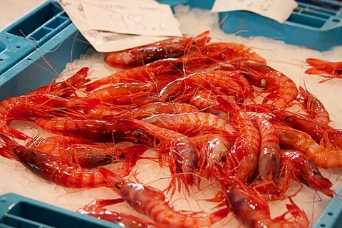 Prawns