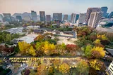 Seoul