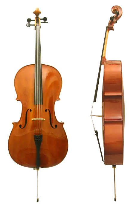 violoncelle