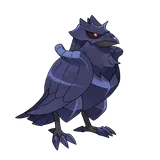 Corvaillus