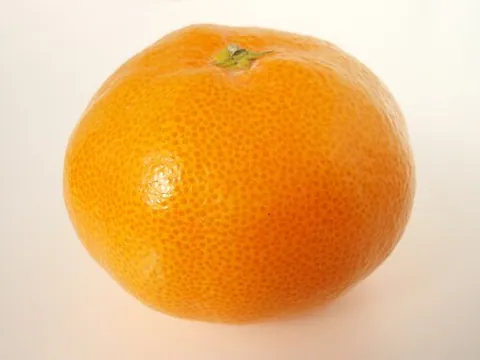 Satsuma