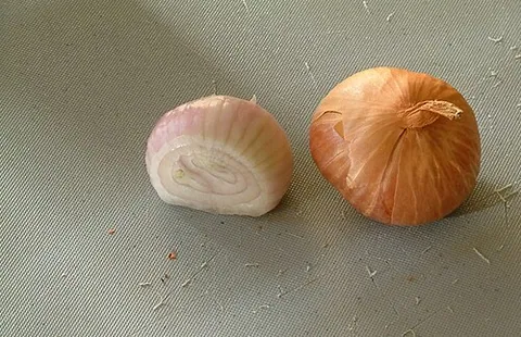 Échalote