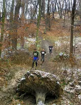 Trail