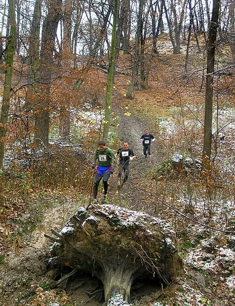 Trail running