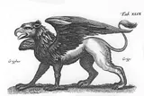 Griffon