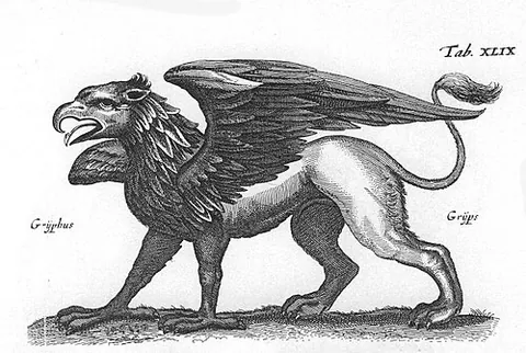 Griffon