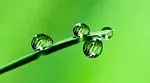 Vert d'eau