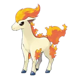 Ponyta