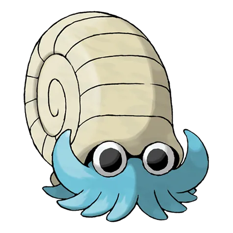 Amonita