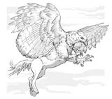 Hippogriffe