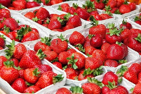 Fraise